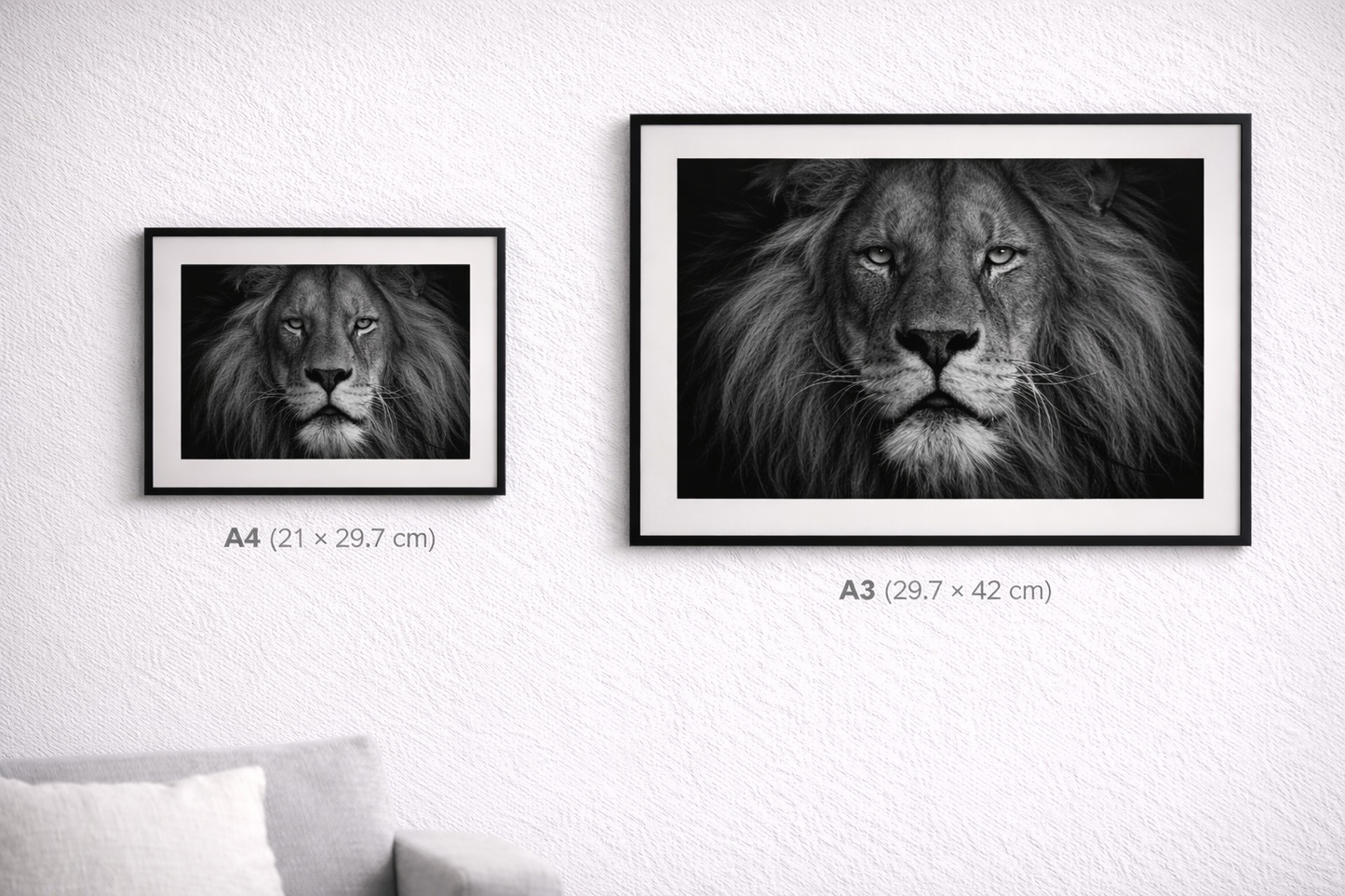 Lion Framed Print – Black and White Animal Wall Art