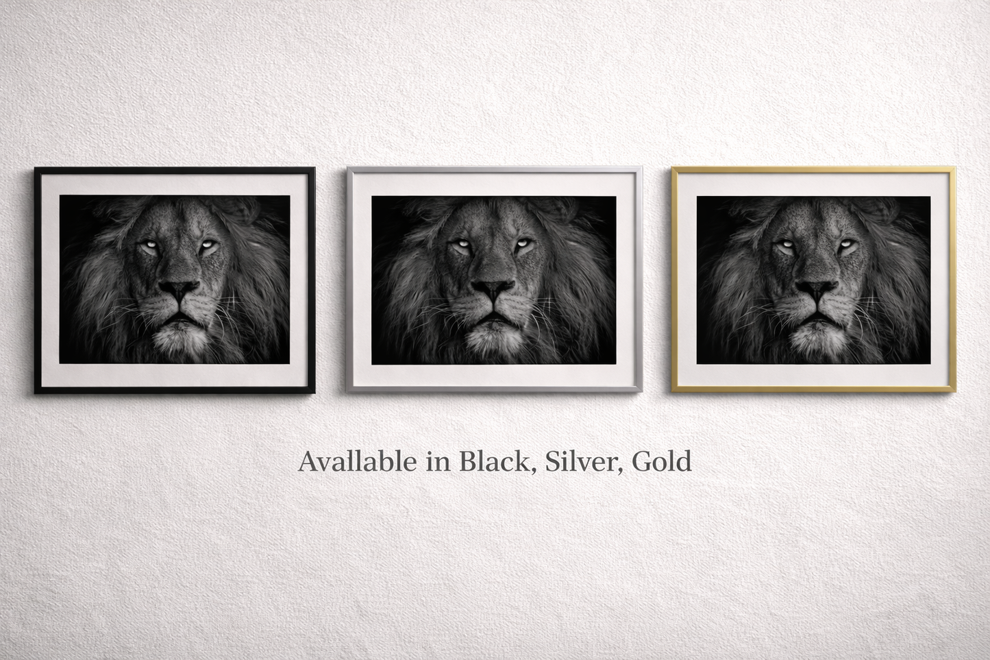 Lion Framed Print – Black and White Animal Wall Art