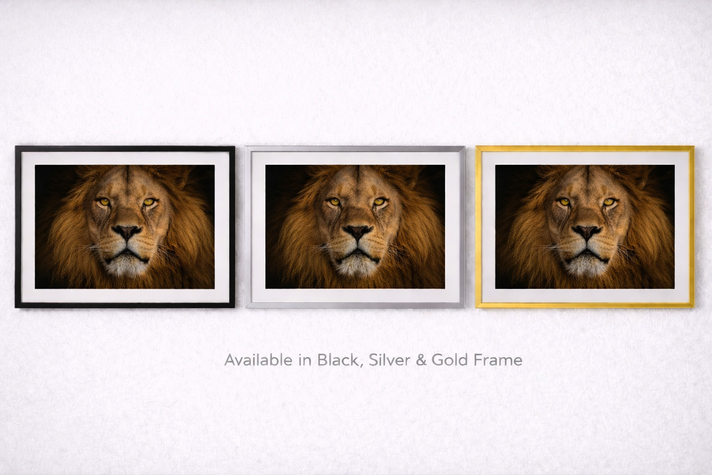 Lion Framed Print – Premium Wildlife Statement Wall Art