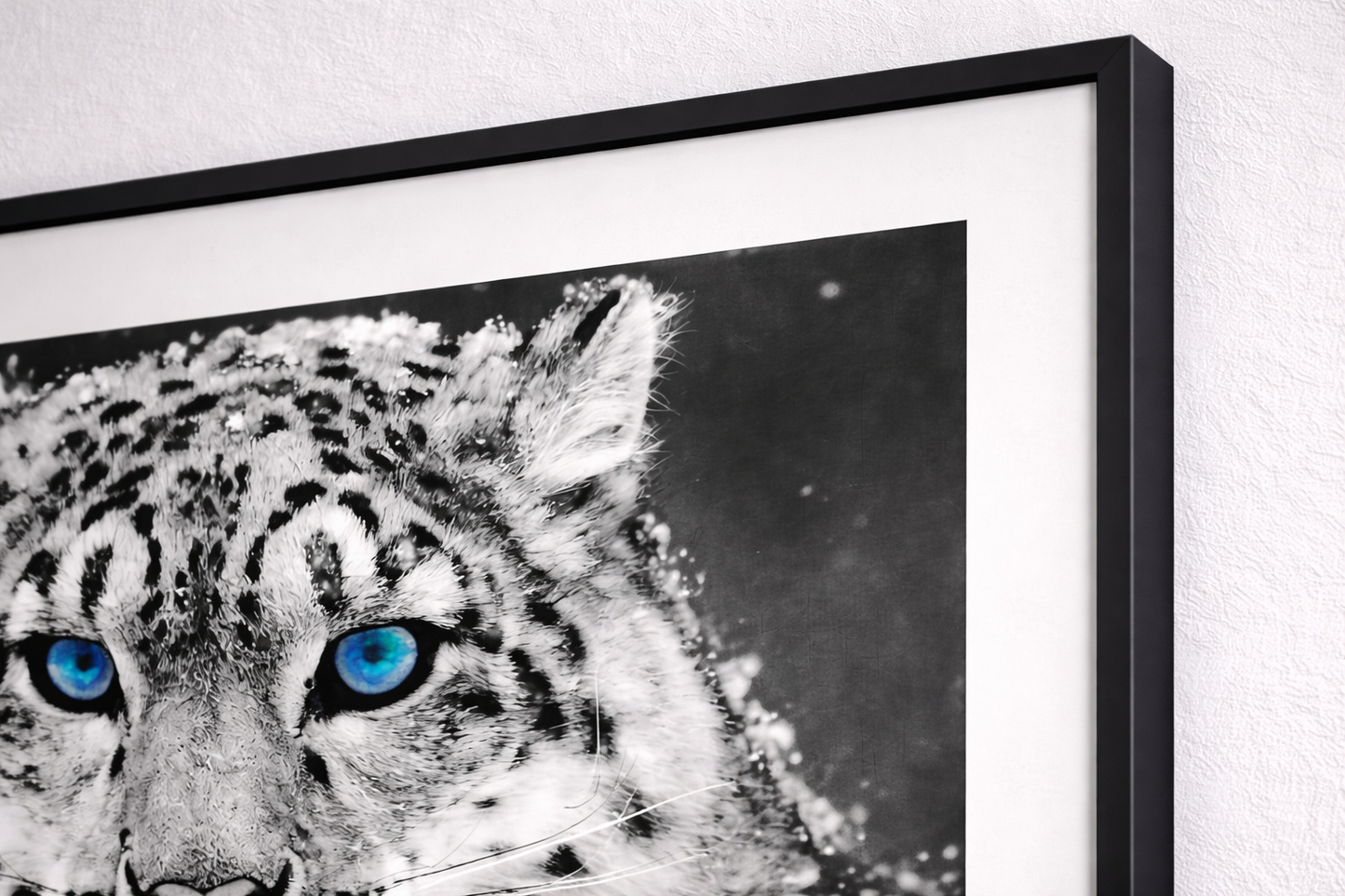 Snow Leopard Framed Print – Black and White Animal Wall Art
