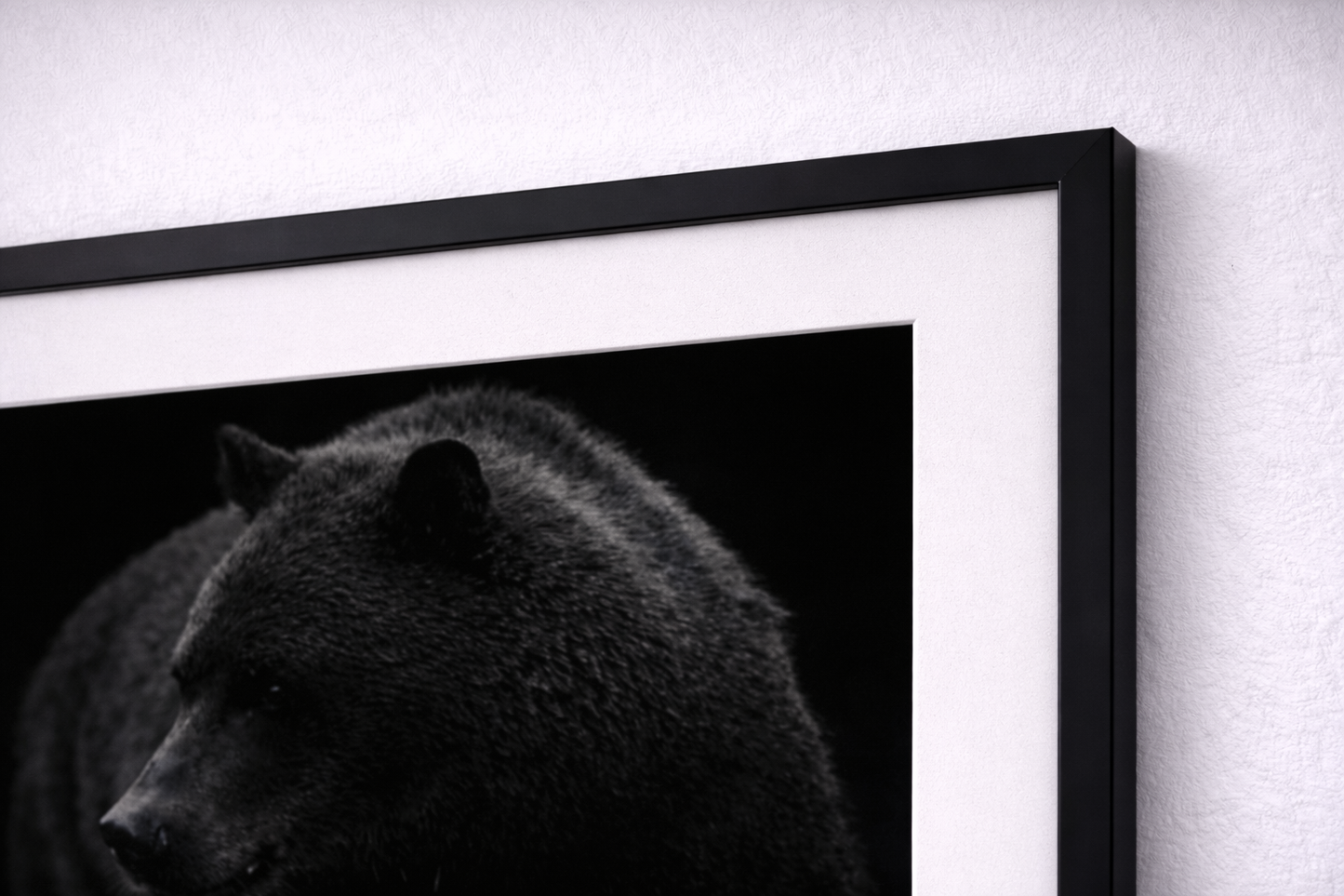 Black Bear Framed Print – Minimal Dark Animal Wall Art