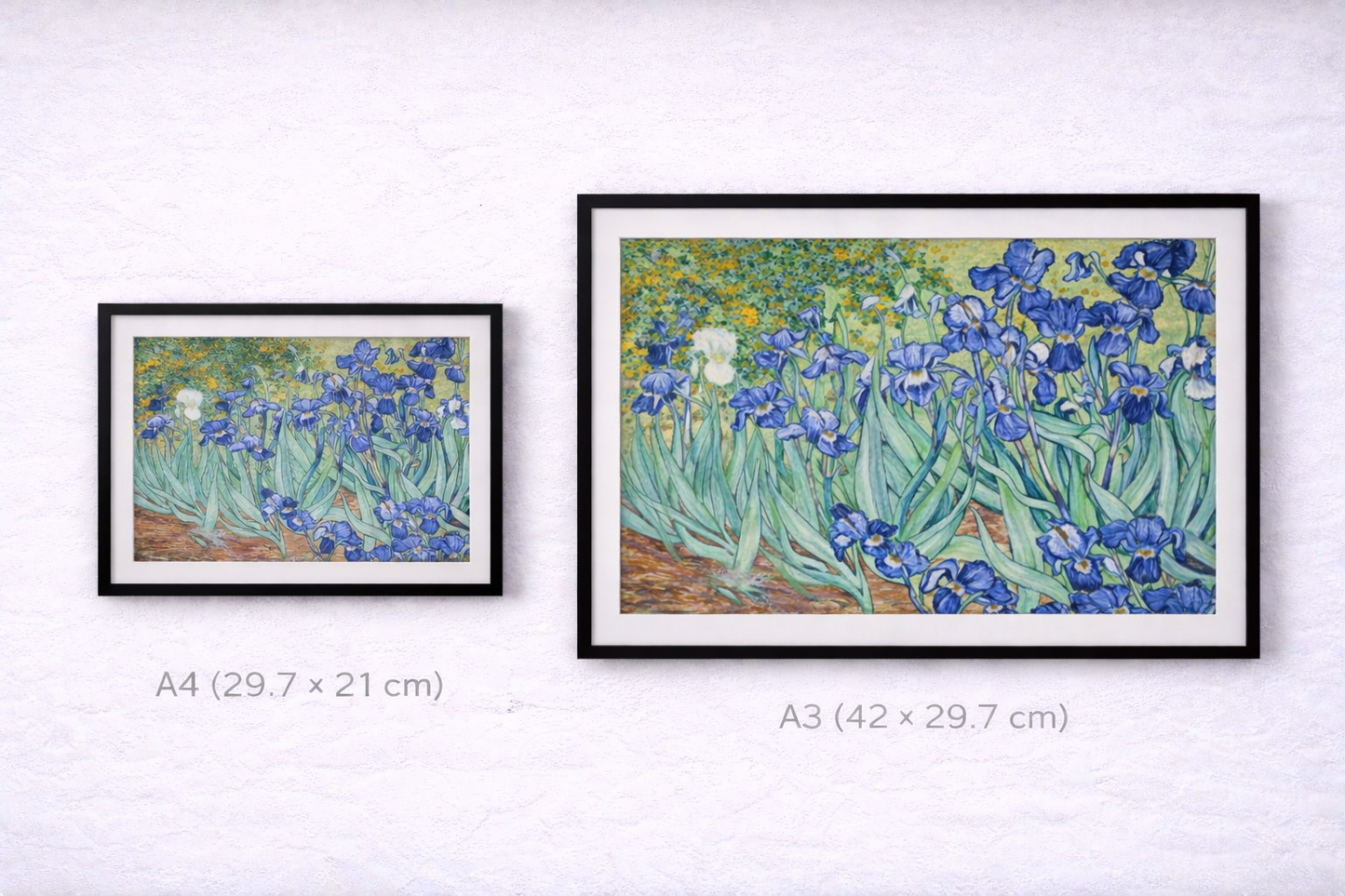 Irises Framed Print – Van Gogh Floral Wall Art