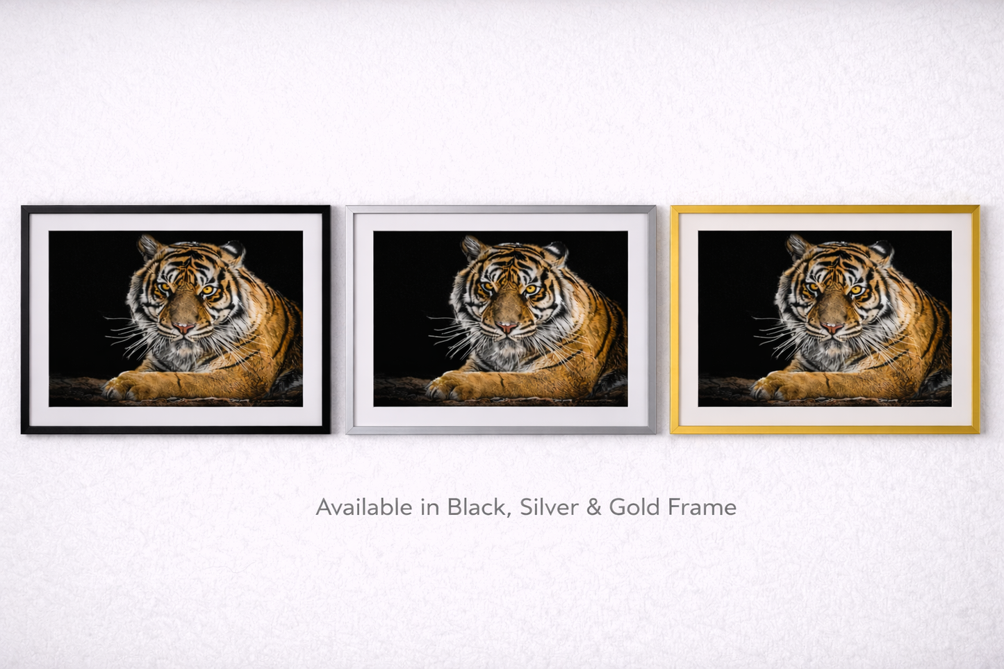 Tiger Framed Print – Luxury Wildlife Statement Wall Art
