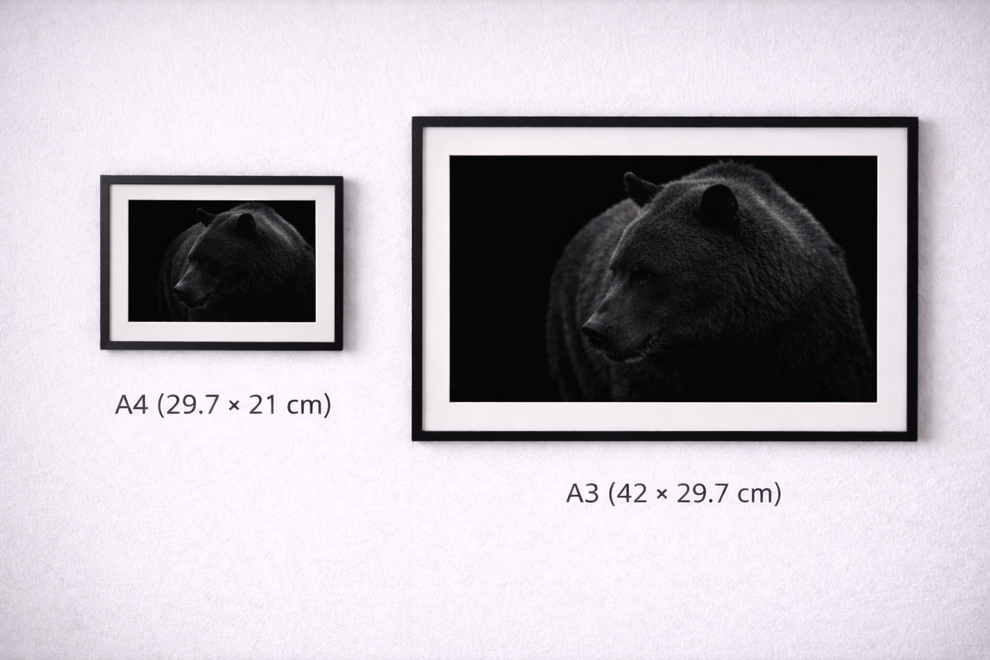 Black Bear Framed Print – Minimal Dark Animal Wall Art